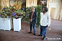 VBS_0173 - Corollaria Flower Exhibition 2022